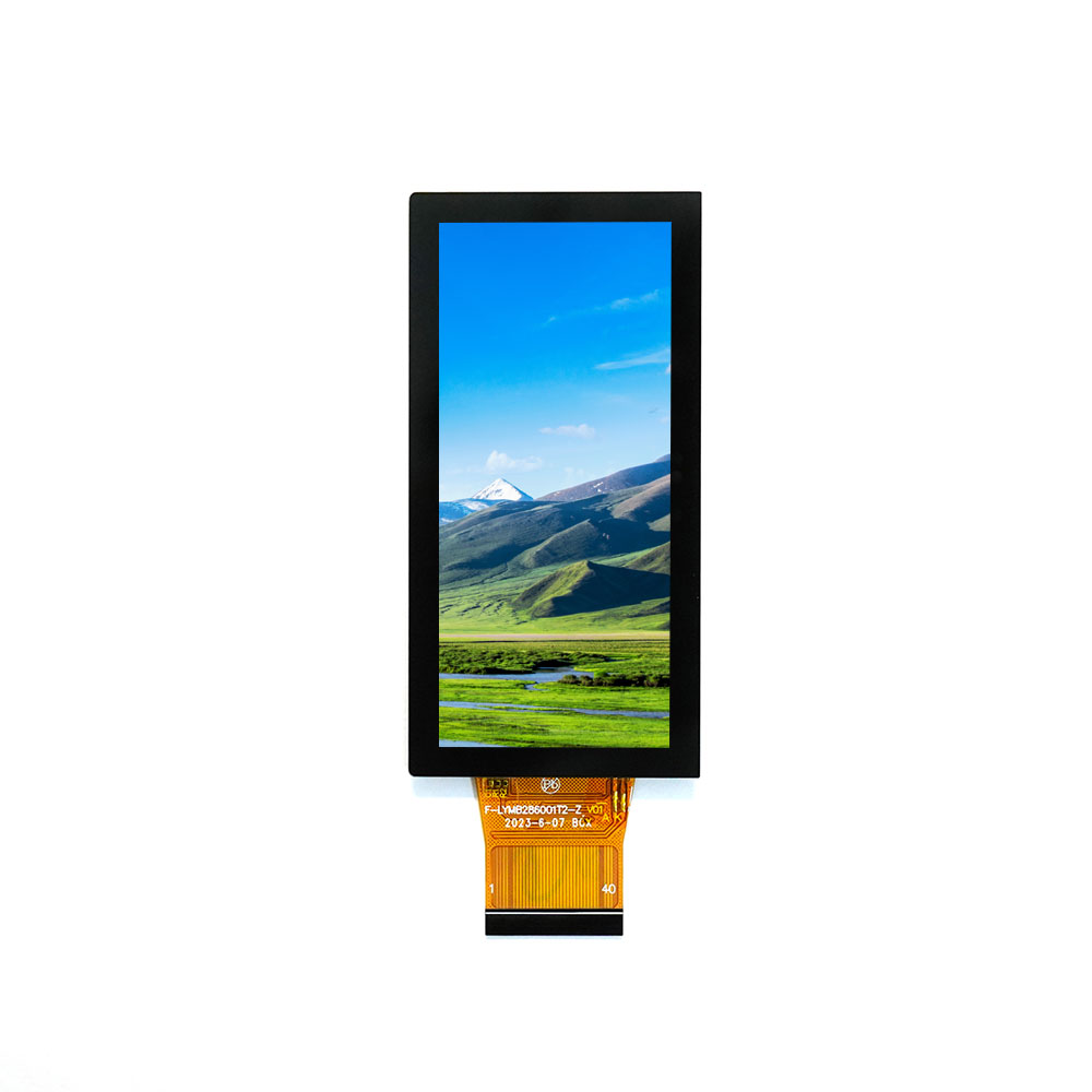 LYMB286001T2